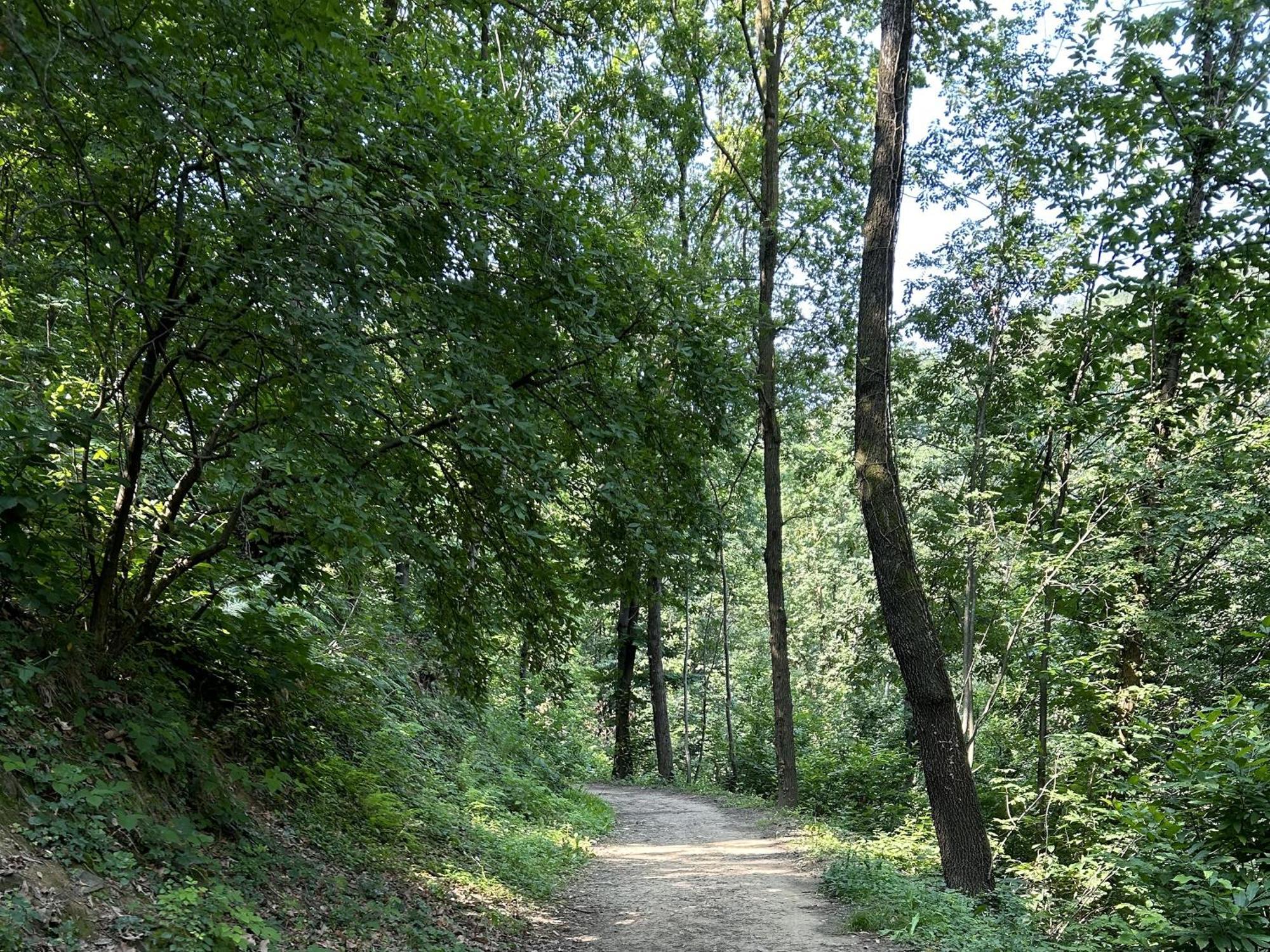Il Giardino Di Berbech Citta Alta - Castagno Διαμέρισμα Μπέργκαμο Εξωτερικό φωτογραφία