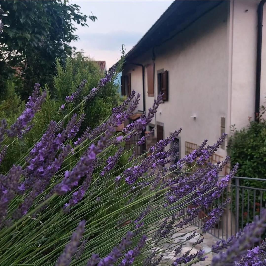 Il Giardino Di Berbech Citta Alta - Castagno Διαμέρισμα Μπέργκαμο Εξωτερικό φωτογραφία